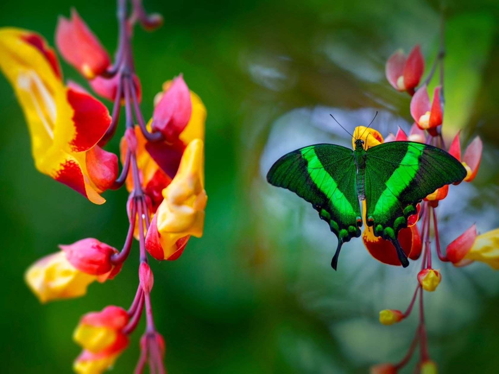 Mutirão in Action: Mid-COP30 Insights