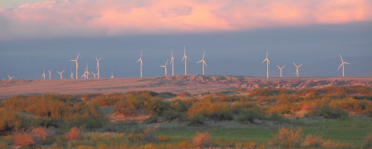 A landscape with scattered wind turbines against a sunset sky, surrounded by low lush vegetation and rugged terrain.