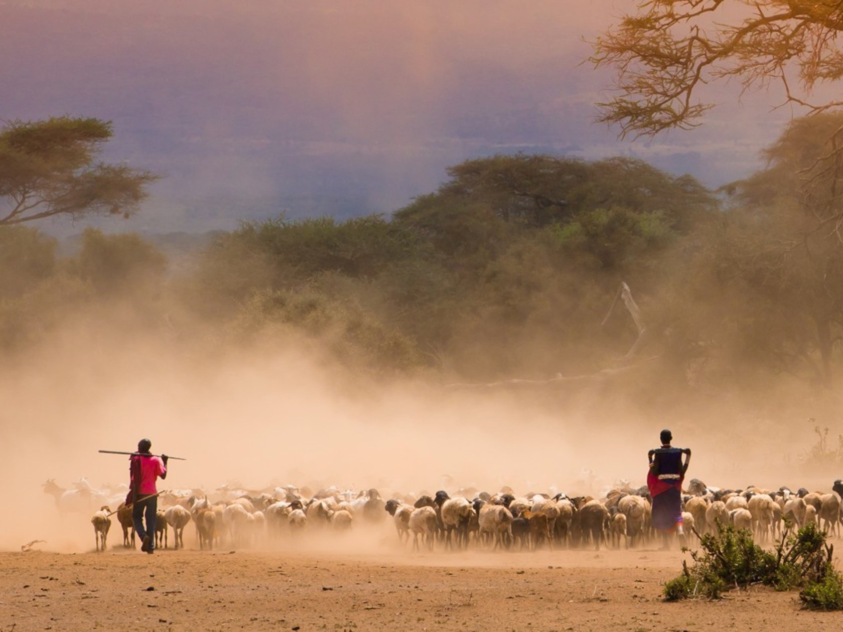 Building a resilient social license to operate in Africa’s renewable energy transition