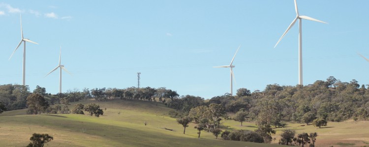 Green rolling hills dotted with wind turbines against a clear blue sky, showcasing renewable energy in a rural landscape.