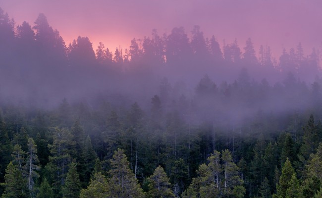 Council in the media